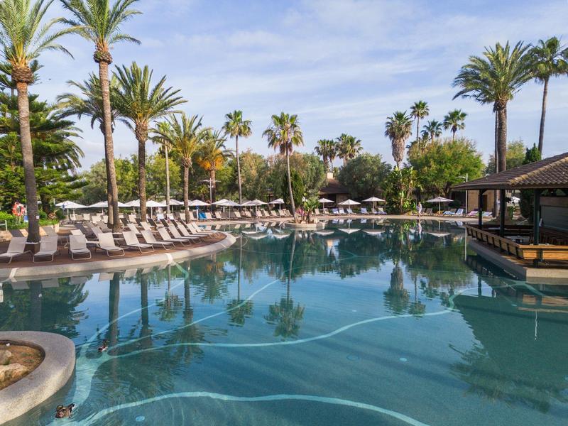 Grand espace piscine avec des palmiers et des chaises longues sous un ciel bleu.