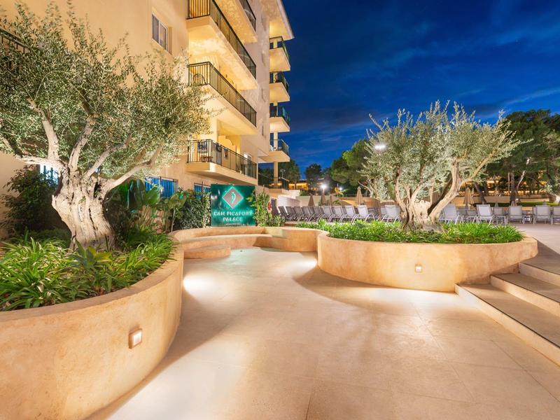 Area esterna dell'hotel illuminata con posti a sedere e ulivi di notte