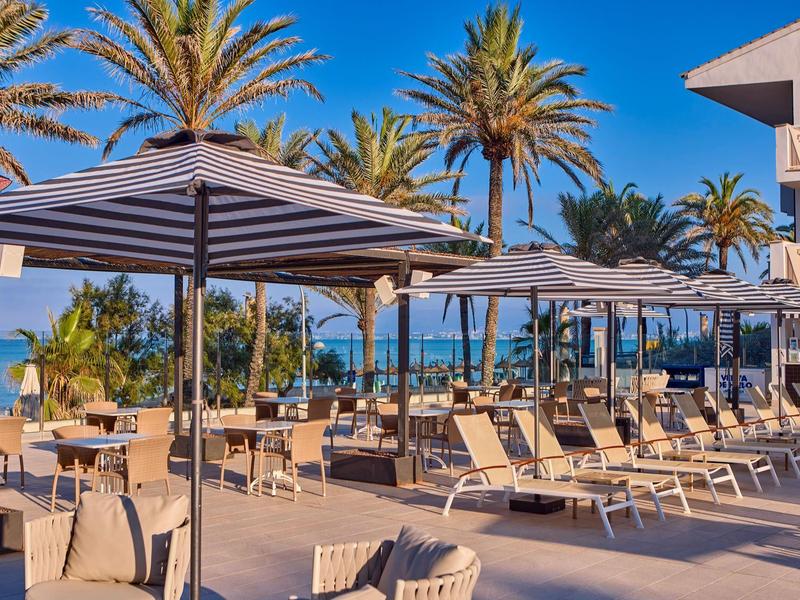 Sun terrace with lounge chairs and umbrellas by palm trees and sea under clear sky.