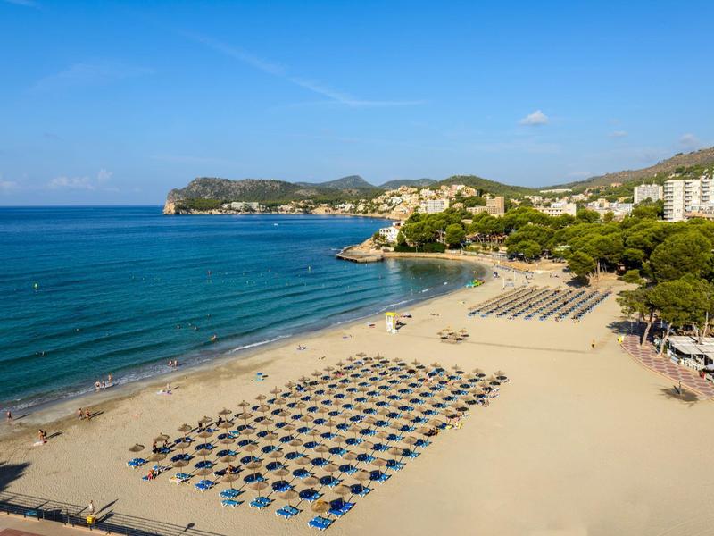 Zorganizowana plaża z niebieskimi parasolami i złotym piaskiem przy morzu, budynki w tle.