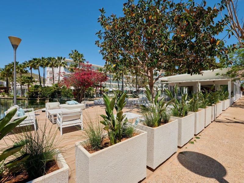 Zewnętrzny taras hotelowy z białymi donicami, stołami, krzesłami i parasolami pod drzewami.