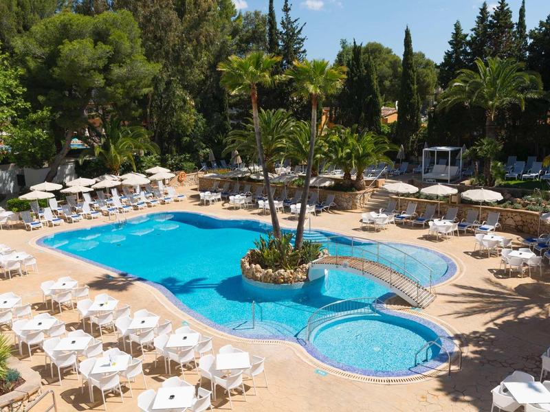 Piscine extérieure ensoleillée entourée de chaises longues et parasols avec des arbres en arrière-plan