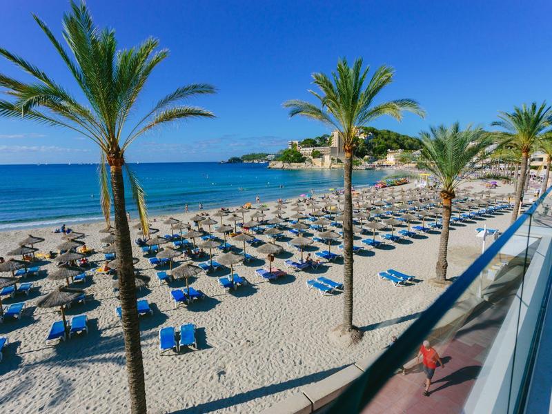Beach with rows of lounge chairs and palm trees on a sunny day