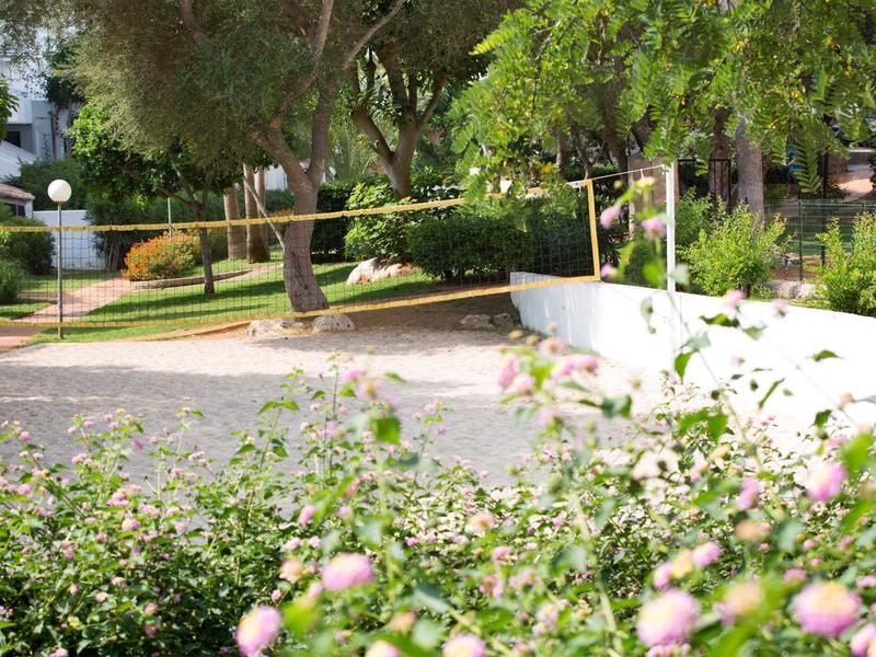 Flowering bushes in foreground, blocked path with trees and sunny weather.