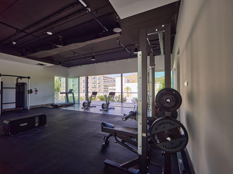 Gimnasio moderno con equipo de pesas y bicicletas estáticas junto a ventanas amplias.