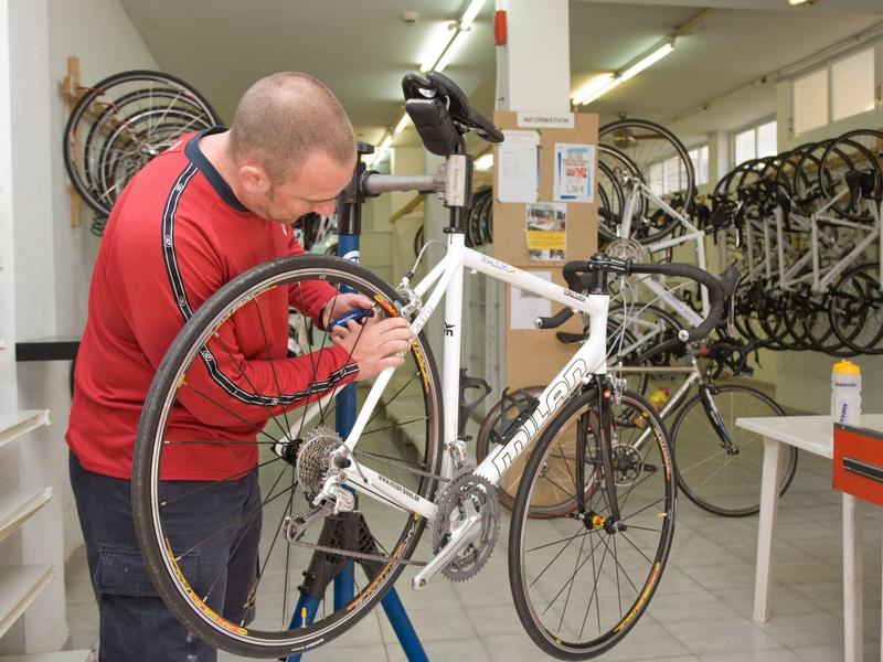 Hombre repara bicicleta de carreras en taller bien iluminado con muchas ruedas en la pared.