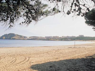 Spiaggia sabbiosa vuota con vista sul mare e colline lontane, alberi in primo piano.