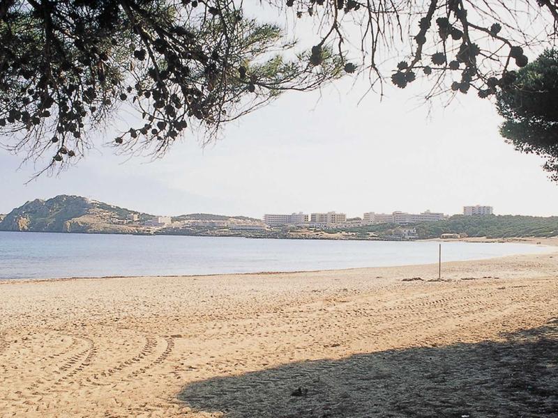 Spiaggia sabbiosa vuota con vista sul mare e colline lontane, alberi in primo piano.