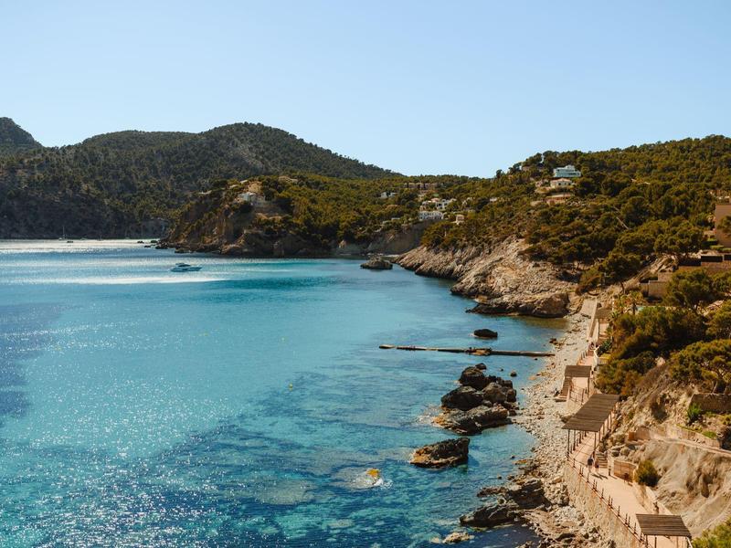 Klares türkisfarbenes Meer trifft auf felsige Küste mit grünen Bäumen und bewachsenen Hügeln im Hintergrund.