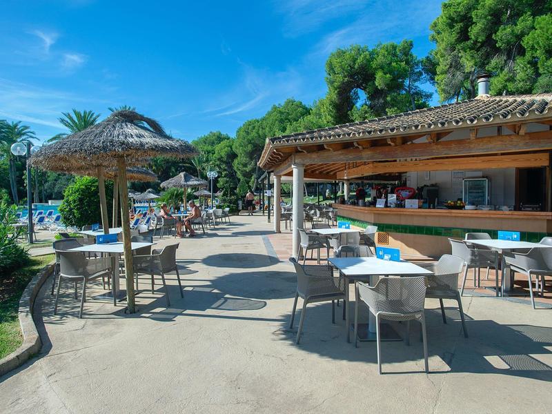Terrassen-Café im Freien mit Stühlen, Tischen, Sonnenschirmen und viel Grün bei sonnigem Wetter.