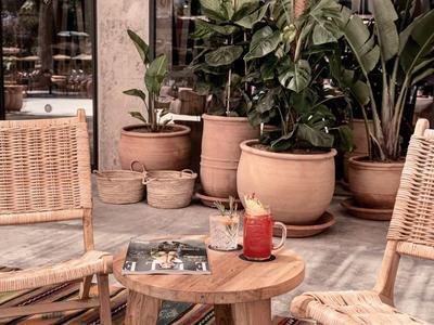 Gemütliche Sitzgruppe mit Holztisch, Getränk und Pflanzen in einem modernen Innenraum.