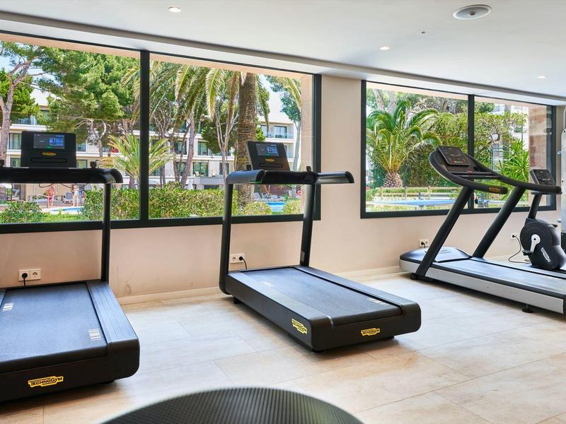 Bright gym with treadmills by large windows overlooking palm trees.