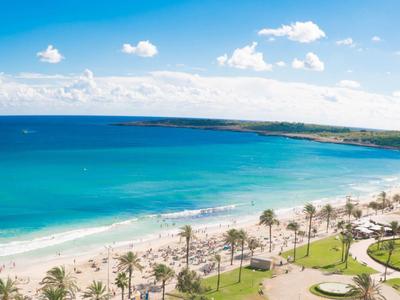 Zonnig strand met helderblauw water en palmbomen langs de kustlijn.