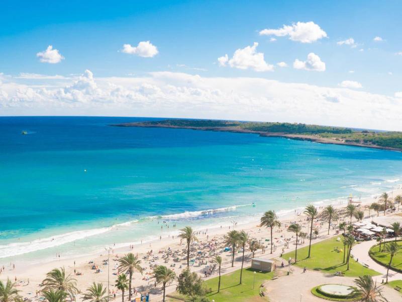 Zonnig strand met helderblauw water en palmbomen langs de kustlijn.