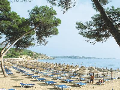 Strand mit zahlreichen blauen Liegen, Strohhütten und grünen Kiefern unter klarem Himmel.