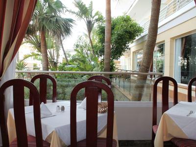 Terraza con mesas y sillas en un jardín tropical de hotel con palmeras.