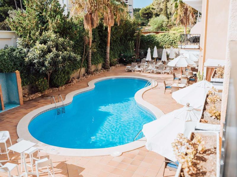 Una zona piscina tranquilla con palme e lettini in uno spazio esterno soleggiato di un hotel.