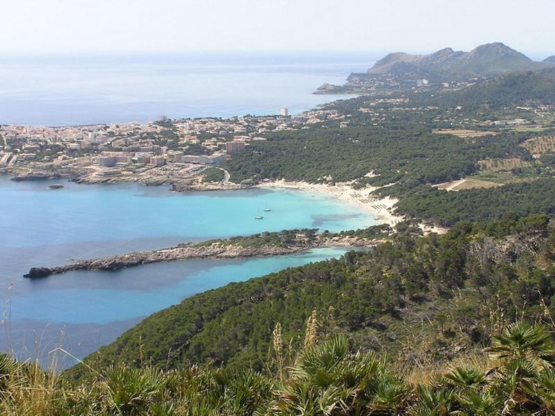 Kustlandschap met helderblauwe zee, groen bos en verre stad aan de horizon
