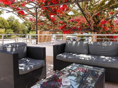 Cozy terrace with black rattan lounge under a blooming tree.