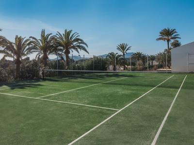 Tennis court with green surface and palm trees in the background under a blue sky