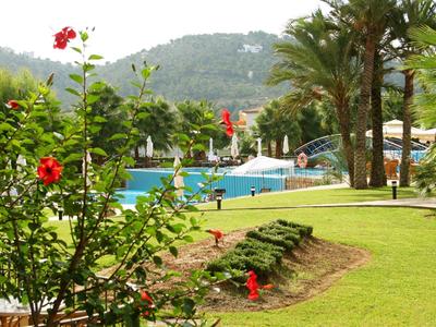 Ein gepflegter Garten mit grünen Pflanzen und einem Schwimmbad in einem Hotelresort.