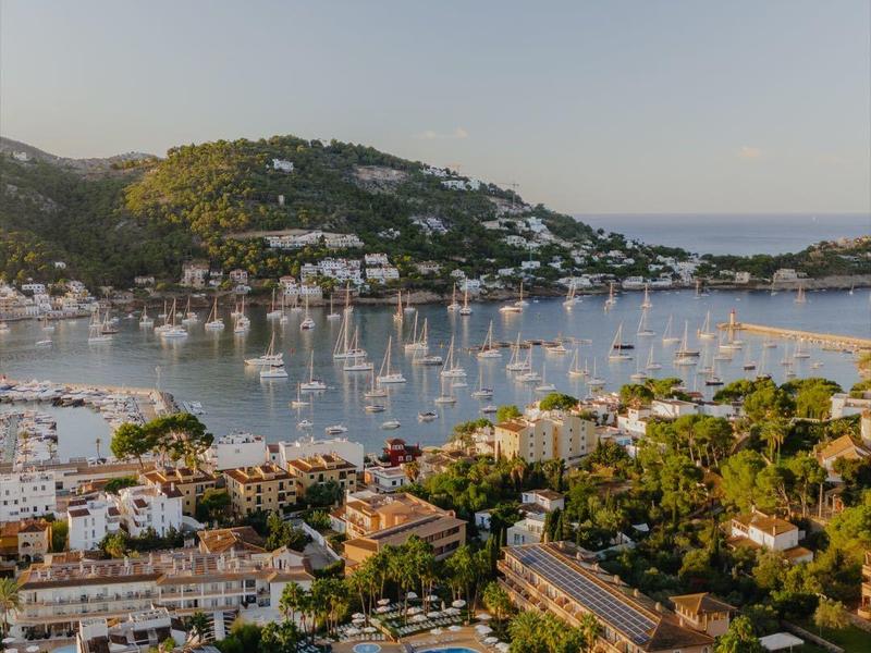 Blick auf Hafen mit Segelbooten, umgeben von Hügeln, Häusern und Grün in sanftem Abendlicht.