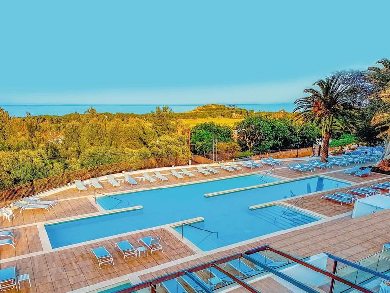 A large outdoor pool with lounge chairs and palm trees, surrounded by green landscape and clear sky.