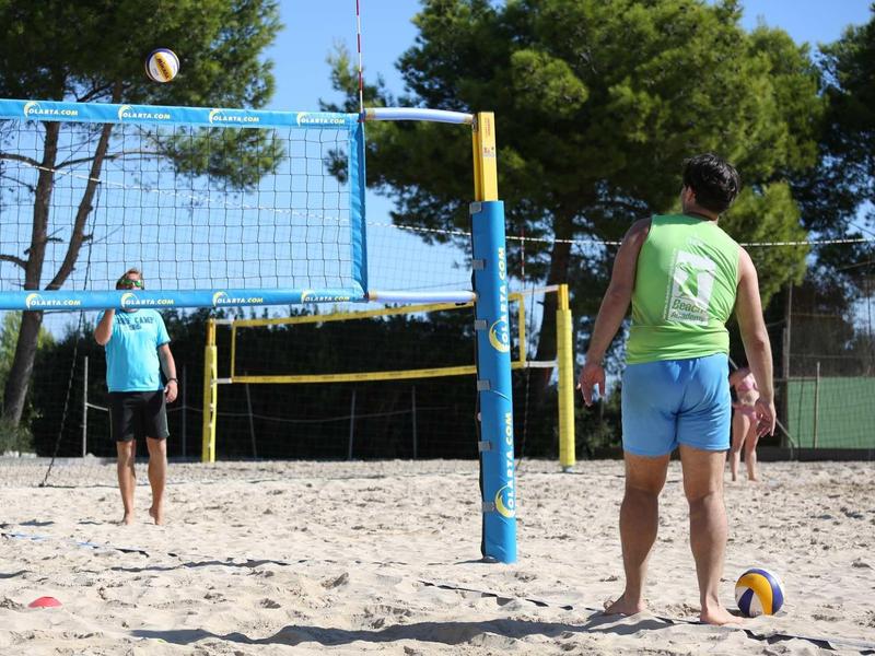 Two men playing beach volleyball on sand with trees and a blue sky in the background.