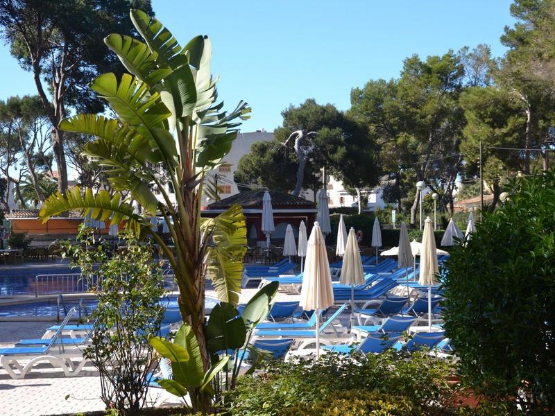 Piscine extérieure chauffée avec chaises longues bleues et parasols blancs entourée d'arbres.