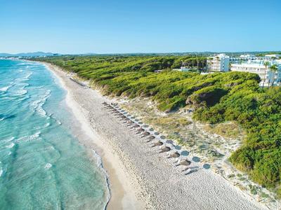 Lunga spiaggia di sabbia con ombrelloni vicino a dune boschive e hotel.