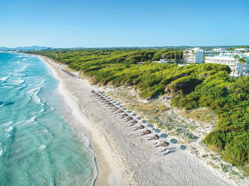 Lunga spiaggia di sabbia con ombrelloni vicino a dune boschive e hotel.