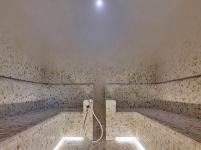 Interior de una sauna mosaico con bancos y una ducha en el centro.