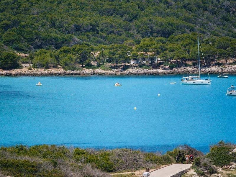 Eau turquoise avec plusieurs voiliers près d'une côte boisée.