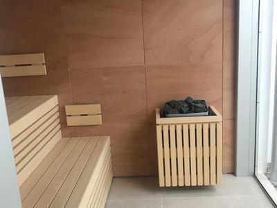 Stanza sauna moderna con panche in legno e stufa da sauna accanto a parete in vetro