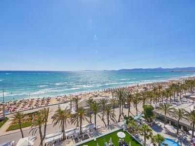 Playa con baño y tumbonas, palmeras a lo largo del paseo y cielo azul