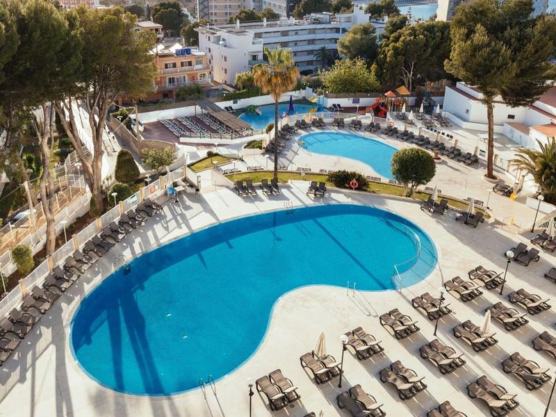 Vista di due piscine con lettini e palme in un hotel.