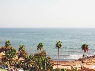 Kustzicht met palmbomen en rustige golven onder een heldere lucht.