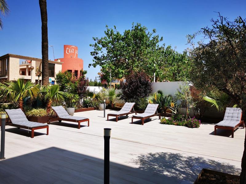 Chaises longues confortables sur une terrasse ensoleillée avec palmiers et jardin en arrière-plan.