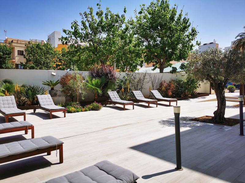Terrasse ensoleillée avec chaises longues et plantes devant un mur blanc par une journée ensoleillée