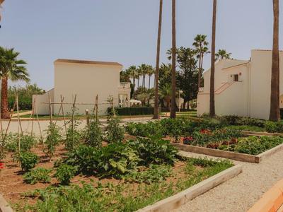 Garten mit Gemüsebeeten und Palmen vor weißen Häusern unter klarem Himmel.