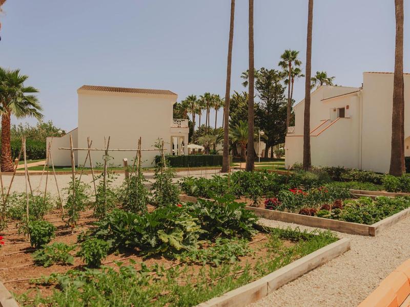 Zahradní záhony vedle hotelu s palmami pod čistou oblohou.