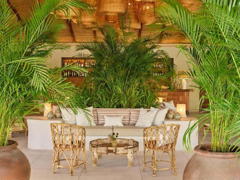 Przytulny salon z zielonymi roślinami i bambusowymi meblami w tropikalnym otoczeniu.