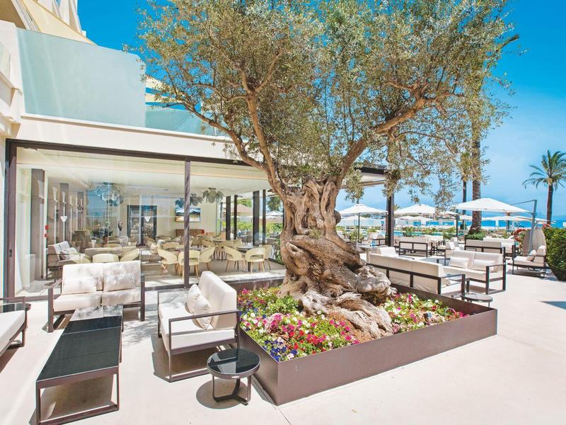 Espace extérieur moderne d'hôtel avec des sièges et un grand olivier dans un bac à plantes.