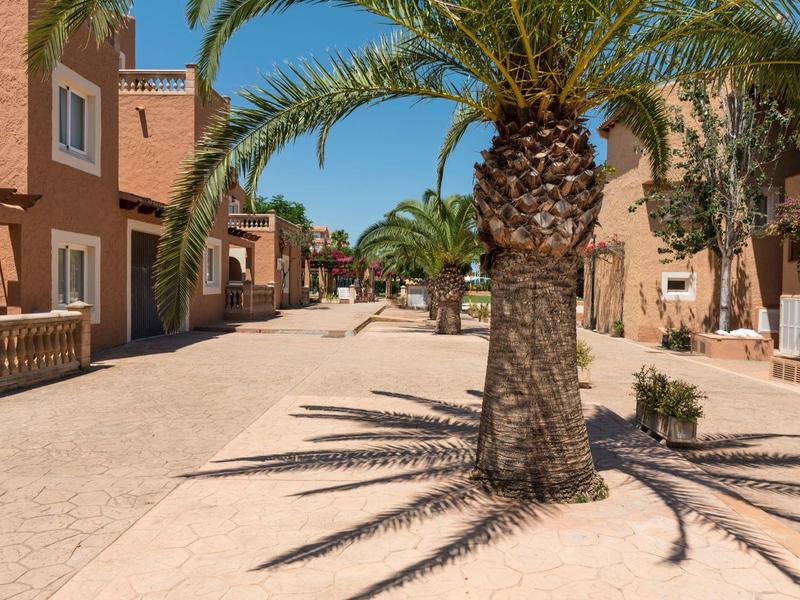 Widok na słoneczną ulicę z palmami na piaszczystym terenie z brązowymi budynkami.