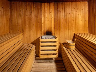 Interior of a sauna with wooden paneling, benches, and a stove in the center.