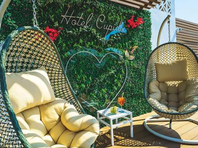 Cozy outdoor area with two white hanging chairs and decorative green wall at the hotel