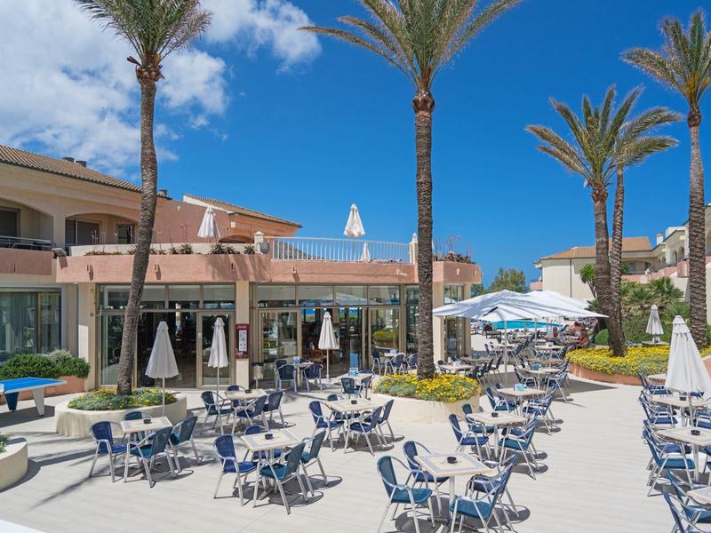 Outdoor hotel terrace with tables, chairs, and tall palm trees under a blue sky.