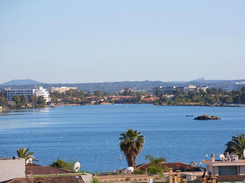 Vista su baia tranquilla con palma e edifici lungo la riva sotto un cielo limpido