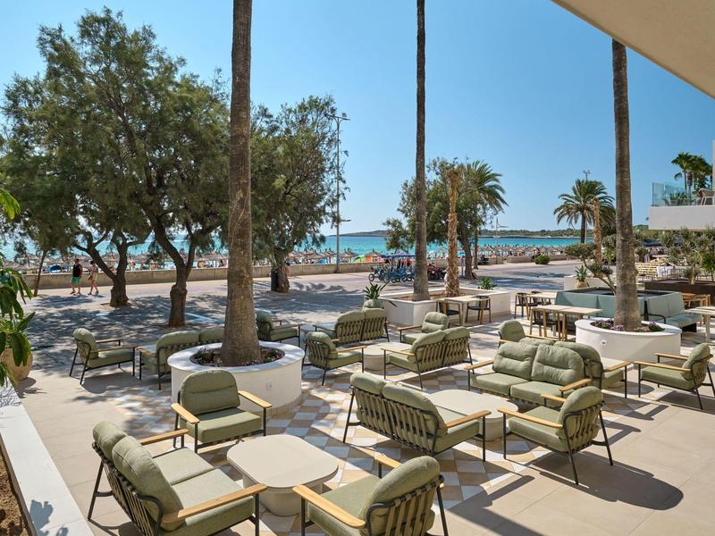 Buitenterras met fauteuils en tafels, palmbomen en uitzicht op zee op de achtergrond.