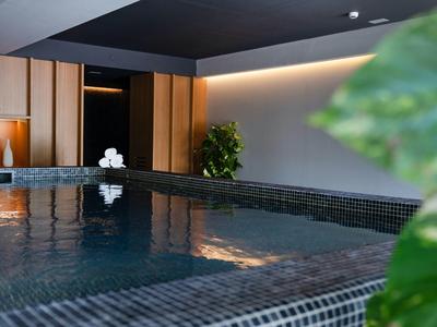 Modern indoor pool in a stylish spa or hotel area with subtle lighting and green plant.